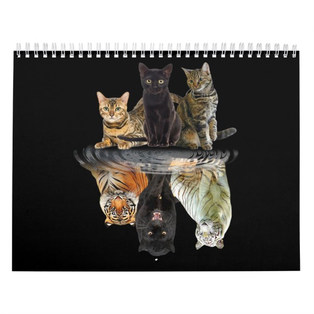 Cats Reflection  Friend Cat Lovers Cute Tiger Calendar (Cover)