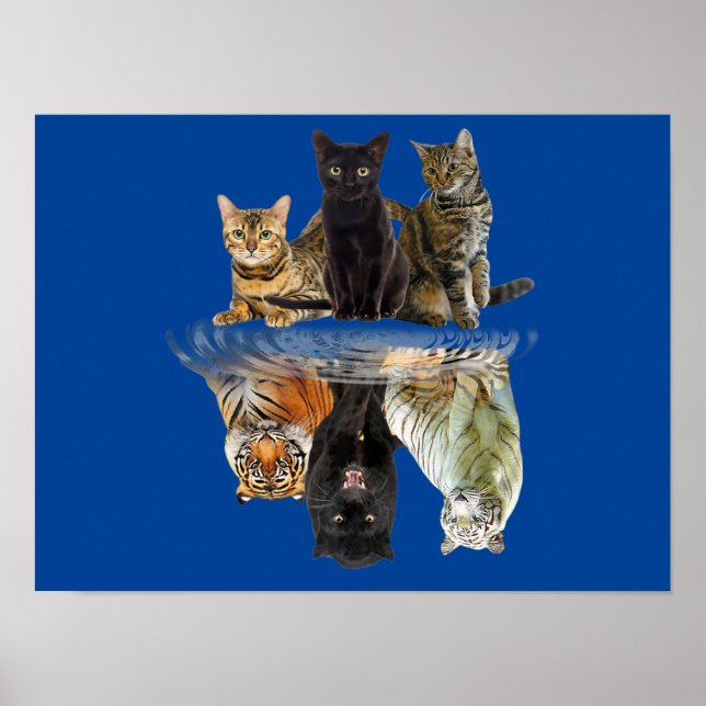 Cats Reflection  Friend Cat Lovers Cute Tiger Poster (Front)
