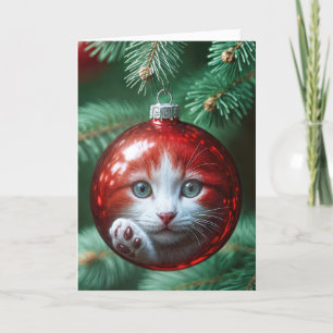 Cat's Reflection In a Red Ornament Holiday Card