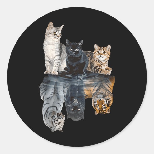 Cats Reflection Mirror Lion Cheetah Tiger Funny Ca Classic Round Sticker (Front)