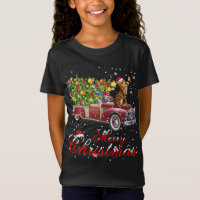 Cats Rides Red Truck Christmas Pajama