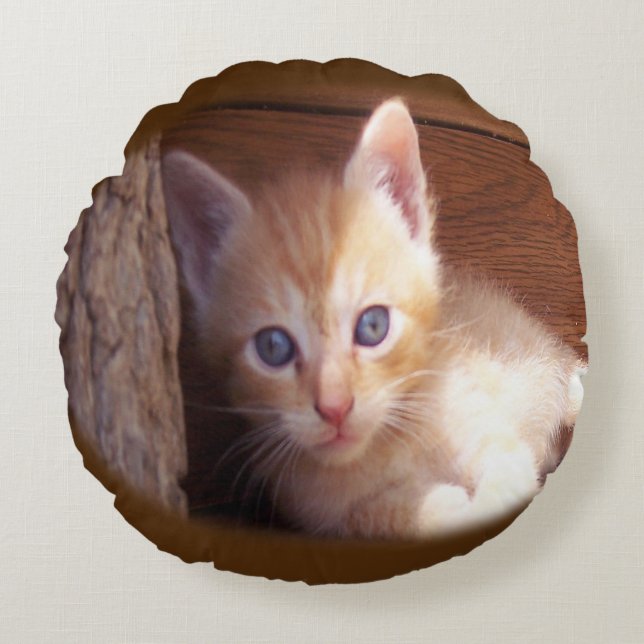 Cats Round Cushion (Front)