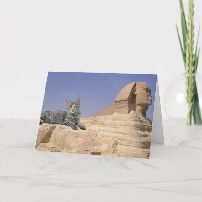 Cats Rule! Card (Front)