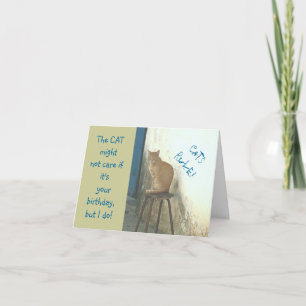 "CATS RULE/CAT PERCHED ON STOOL" HUMOROUS BIRTHDAY CARD