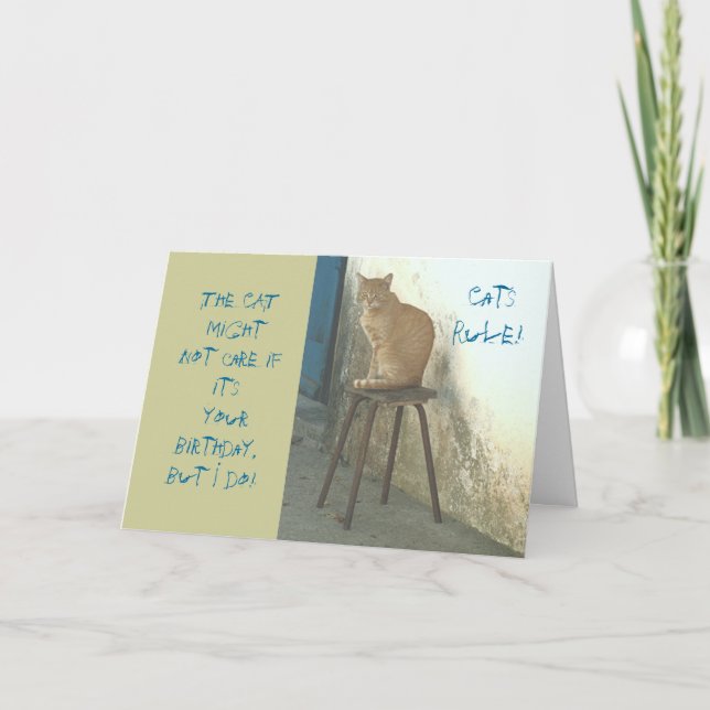 "CATS RULE/CAT PERCHED ON STOOL" HUMOROUS BIRTHDAY CARD (Front)