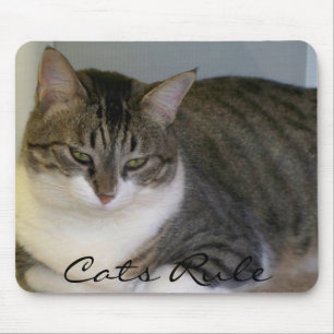 Cats Rule Mouse Mat
