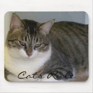 Cats Rule Mouse Mat