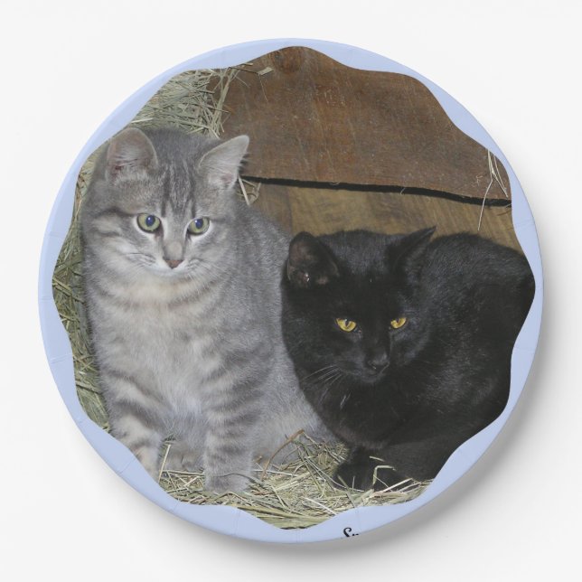 Cats Rule Paper Plate (Front)
