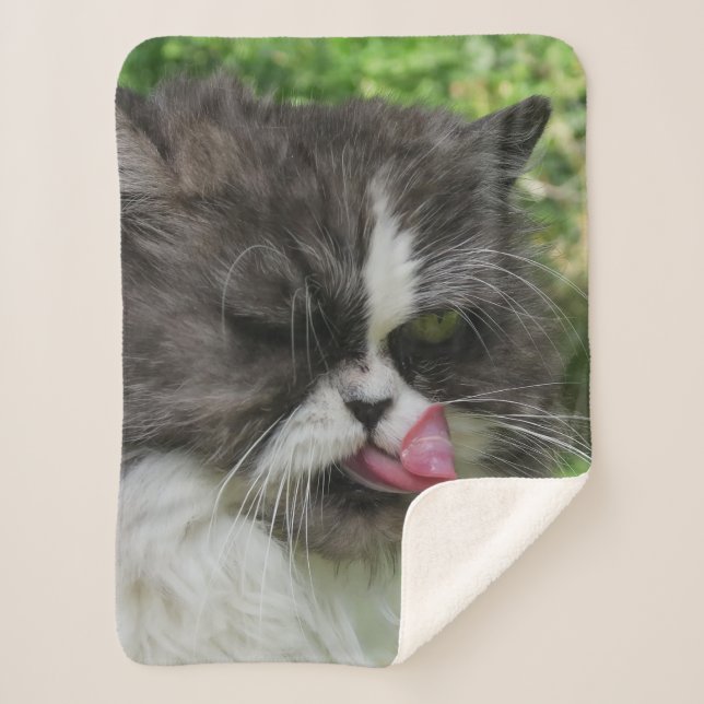 cats,Sherpa Blankets, craft, holiday, elegant Sherpa Blanket (Front)