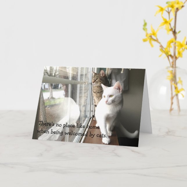 Cats Sitting by the Window Card (Yellow Flower)