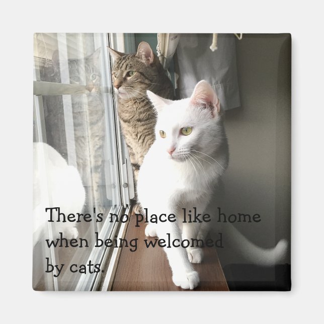 Cats Sitting by the Window Magnet (Front)