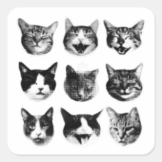 Cats Square Sticker