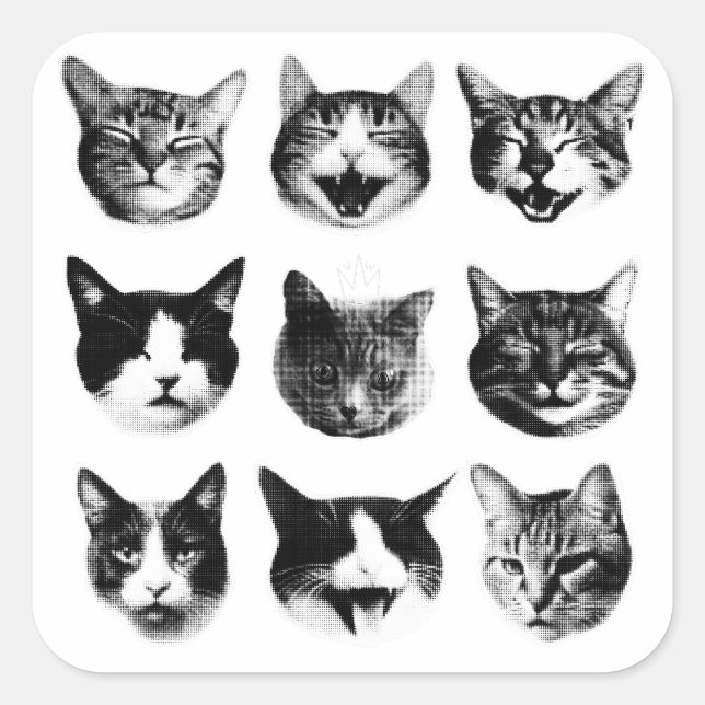 Cats Square Sticker (Front)
