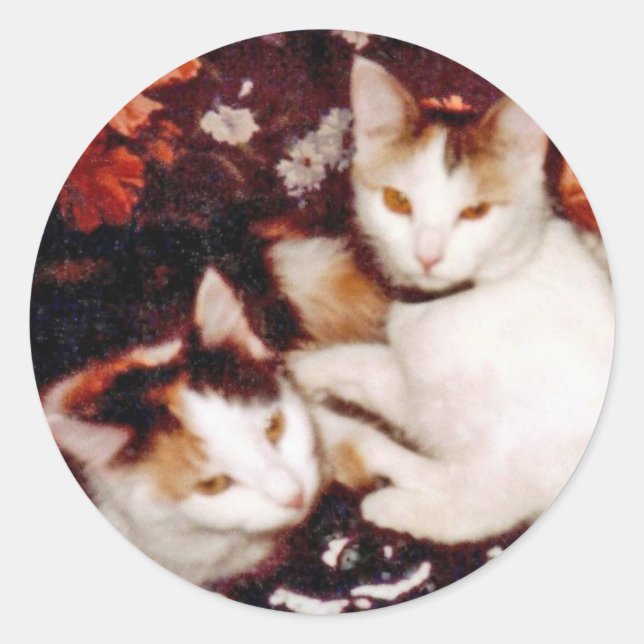 Cats Sticker (Front)