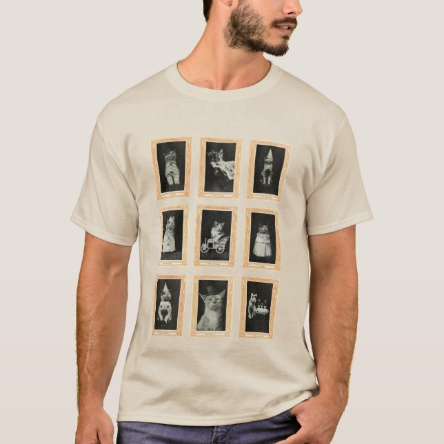 Cats T-Shirt (Front)