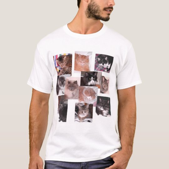 Cats T-Shirt