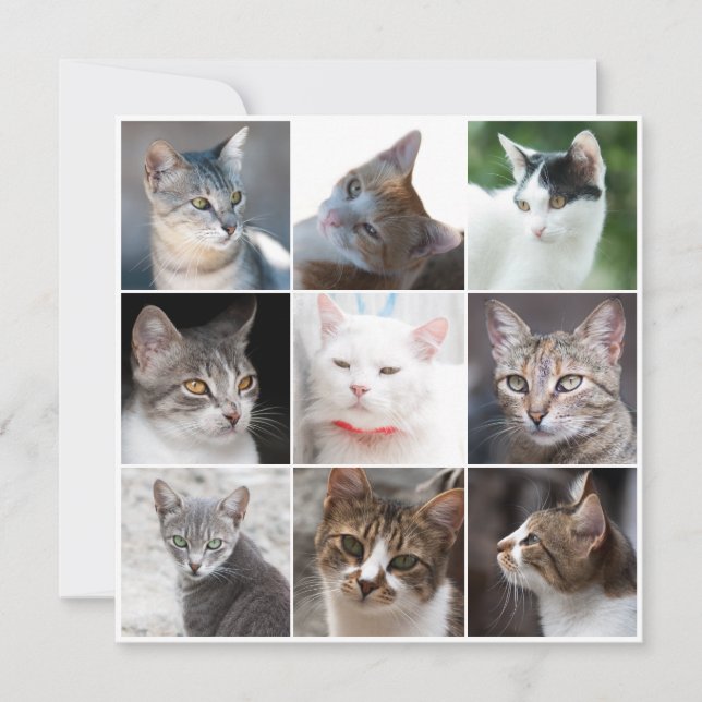 CATS template - change photo (Front)