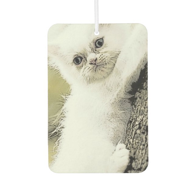 Cats, Tender, Little cat Car Air Freshener (Front)
