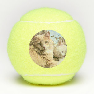 Cats Tennis Balls