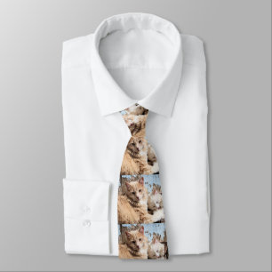 Cats Tie