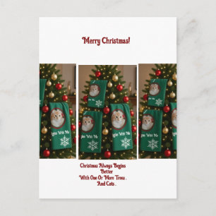 Cats Towels In Christmas Tree, photo,humor Holiday Postcard