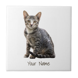 Cats Vintage Portrait Pet Tomcat Animal Design Tile