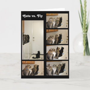 Cats vs Fly Birthday Card