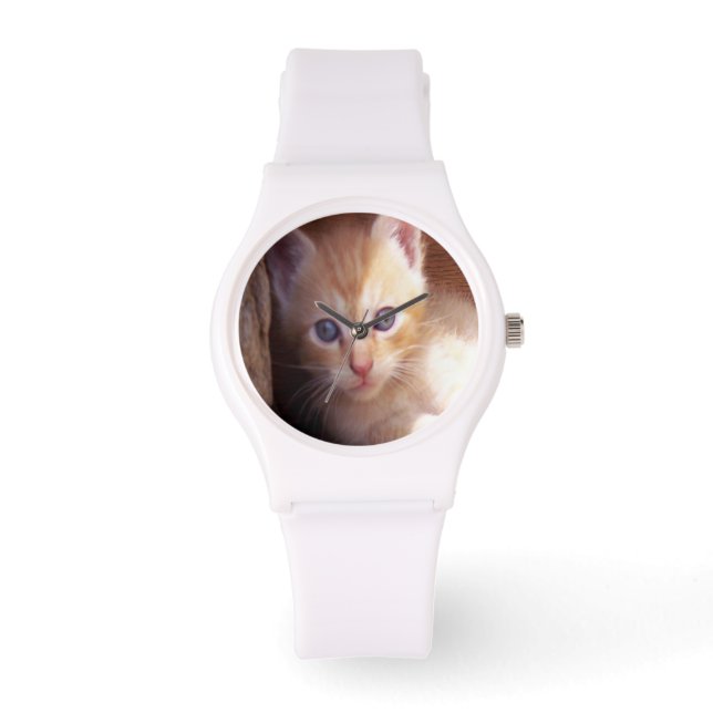 Cats Watch (Front)