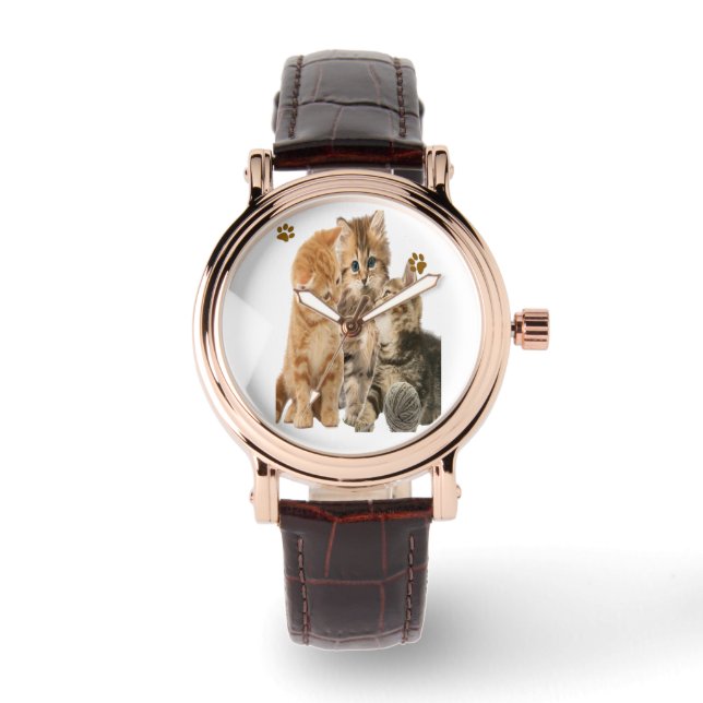 Cats Watch (Front)