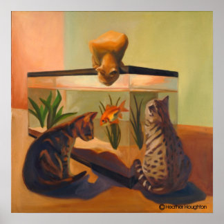 Cats watching Fish Poster