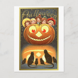 Cats Watching Kids and Pumpkin VIntage Halloween ( Postcard