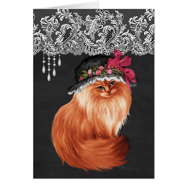 Cats Wearing Hats (Front)