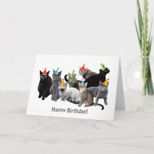 Cats Wearing Party Hats Birthday Card
