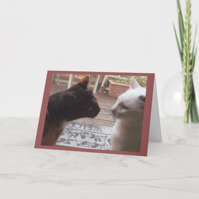 Cats Welcome Card (Front)