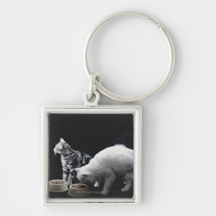 Cats with bowl of food key ring