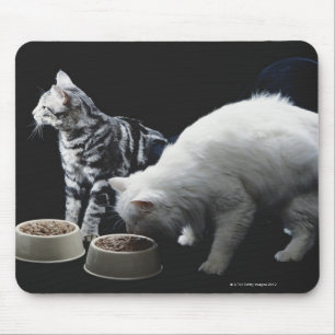 Cats with bowl of food mouse mat
