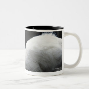 Cats with bowl of food Two-Tone coffee mug
