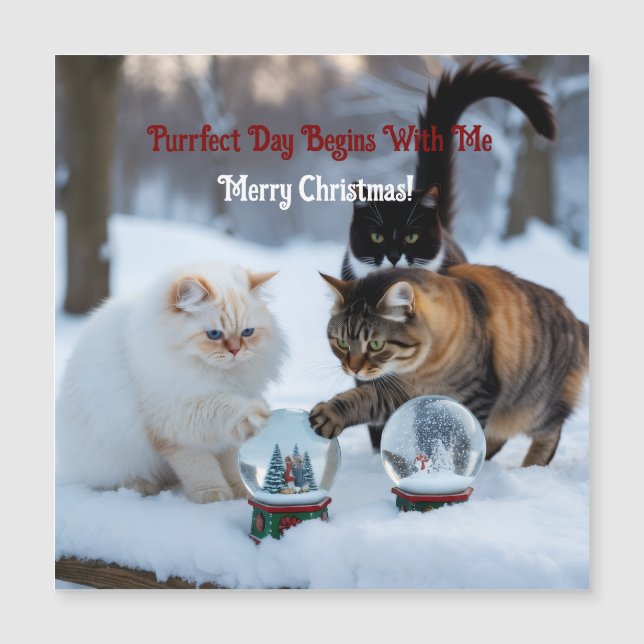 Cats with Snowglobes Customize Magnetic Card (Front)