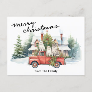 Cats with  Vintage Red Truck for pet lovers Holiday Postcard