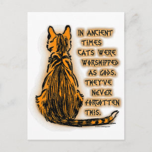Cats Worshipped as Gods Postcard