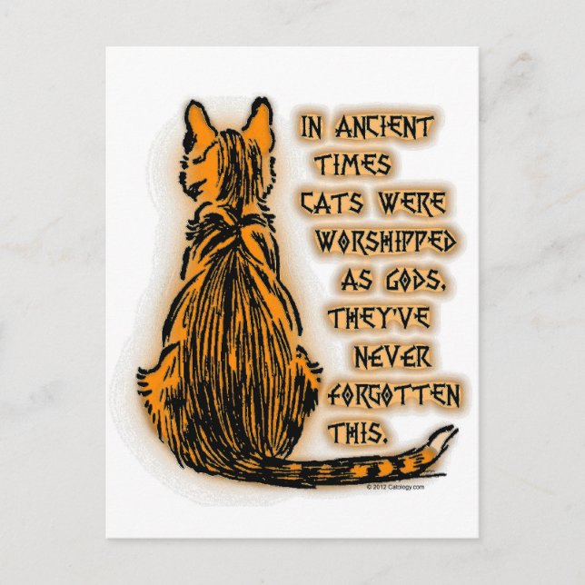 Cats Worshipped as Gods Postcard (Front)