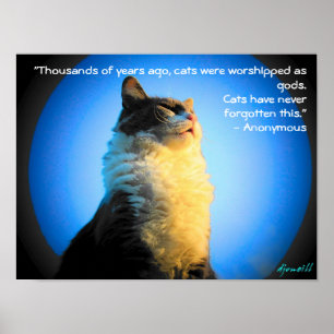 Cats Worshipped as gods- with anonymous quote Poster