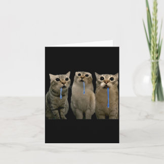 Cats Yelling At A Drooling Cat Double Funny Meme Card