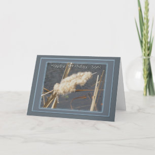 Cattail Kapok Son Birthday Card