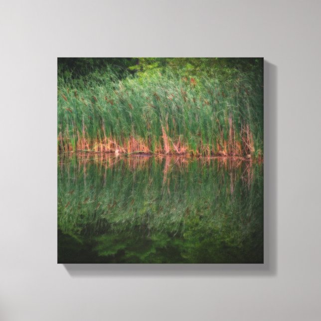 Cattail Reflections In Pond Orton Effect Canvas Print (Front)