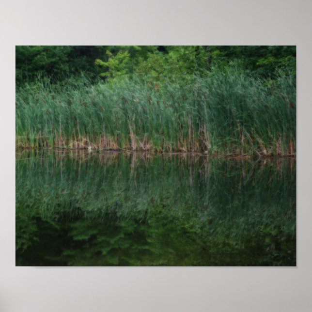 Cattail Reflections In Pond Orton Effect Poster (Front)
