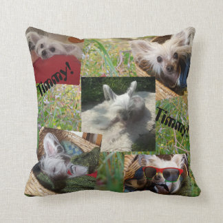 Cattails and cute dog cushion