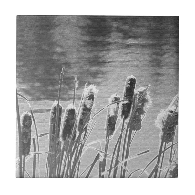 Cattails by the Pond in Black and White Tile (Front)
