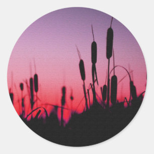Cattails in the Sunset Classic Round Sticker