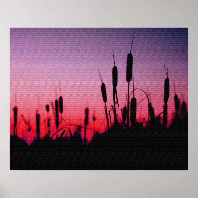 Cattails in the Sunset Poster (Front)